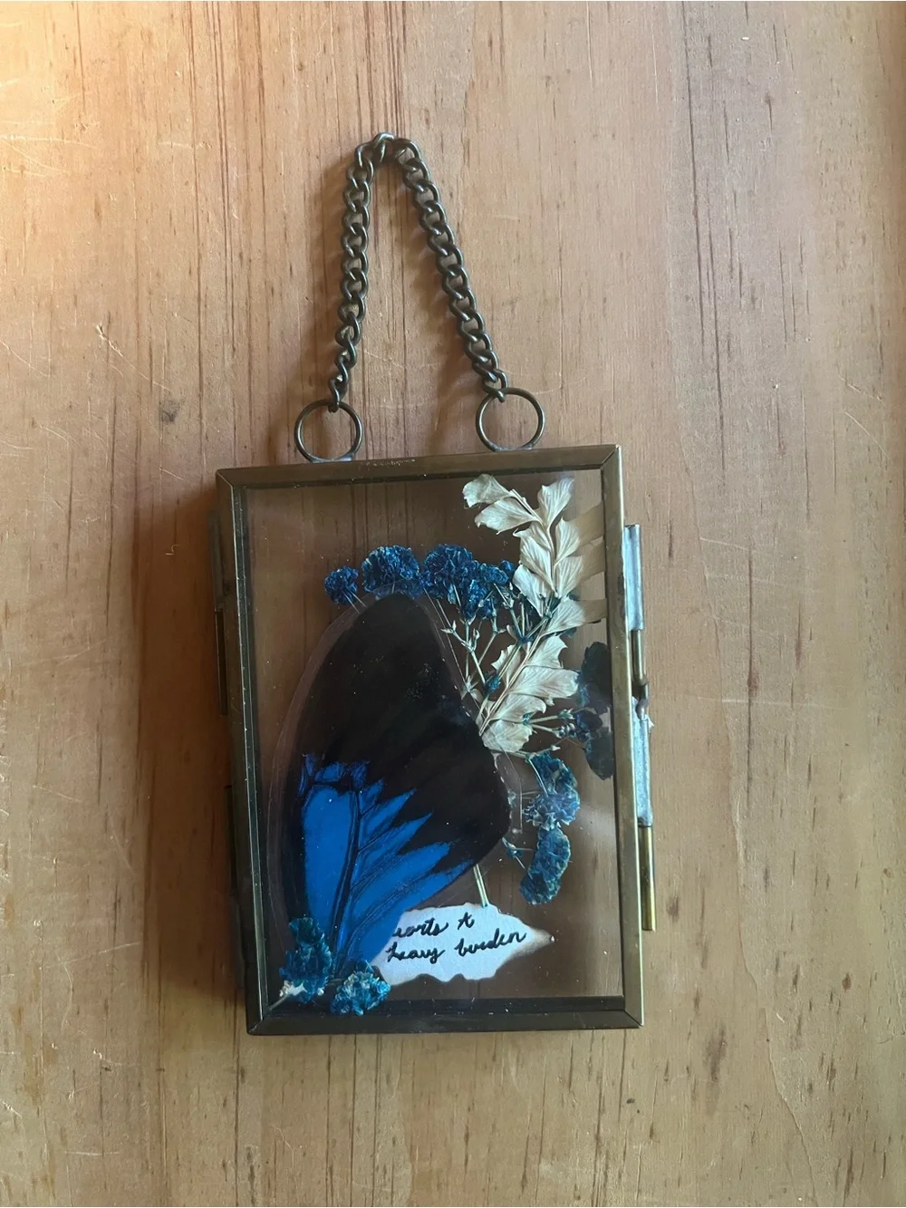 Brass Shadow Box Frame with Blue Butterfly Wing and Dried Blooms